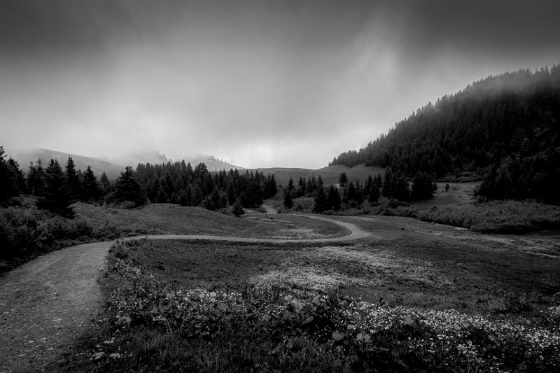 2017_06_05 (0058).jpg - Col Croix-Fry, pointe de Beauregard (Juin 2017)